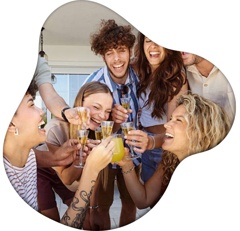 online programma online-programma