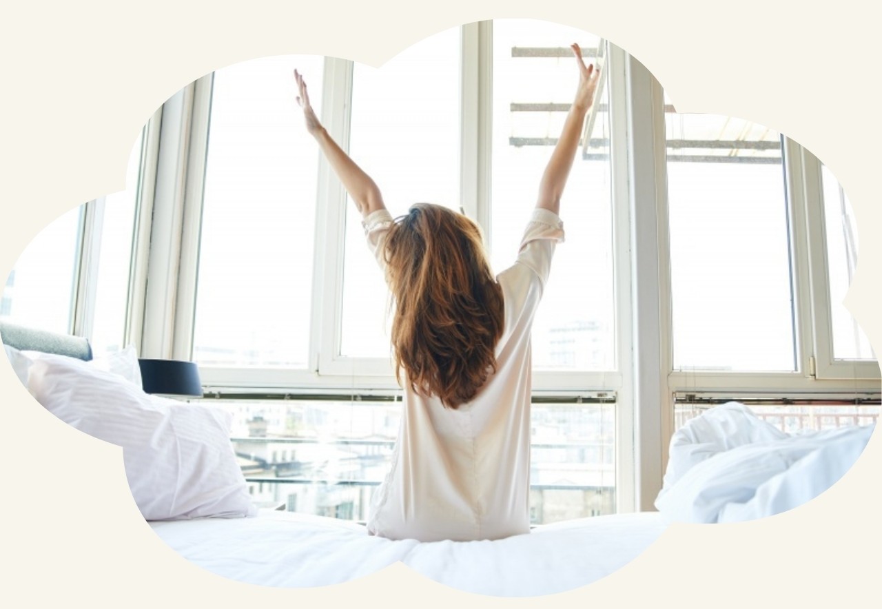 online programma online-programma